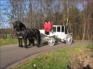 Witte koets
